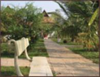 インド アーユルヴェーダ ヨガ コース ayurvedagram21