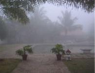 インド アーユルヴェーダ ヨガ コース ayurvedagram7