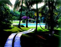 インド アーユルヴェーダ ヨガ コース アーユルヴェーダトリートメント9