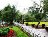 フィリピン留学 :フィリピン留学 baguio3