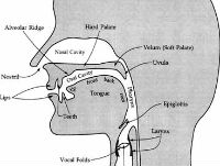 インド留学 Bangalore School of English / バンガロール5