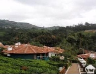 インド アーユルヴェーダ ヨガ コース coonoor12