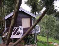 インド アーユルヴェーダ ヨガ コース coonoor5