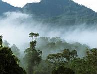 マレーシア留学 malaysia16