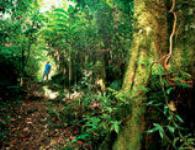 マレーシア留学 malaysia3