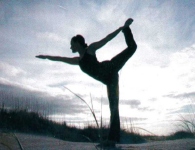 インド アーユルヴェーダ ヨガ コース Rosemount15