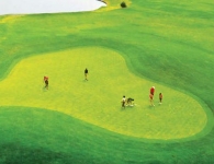 インド留学 sgi/New Delhi5