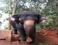 インド留学 syntax_academy6