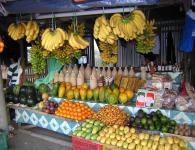 フィリピン留学 :tagaytay3