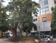 インド留学 vpa9