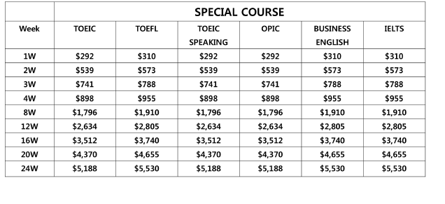 フィリピン留学 :スペシャル コース フィリピン留学 CNN